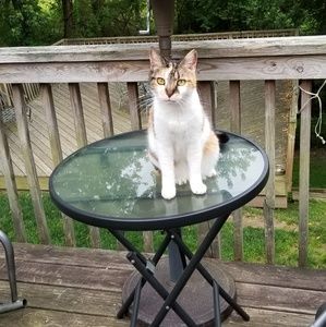 Meet your Posher, Debbie